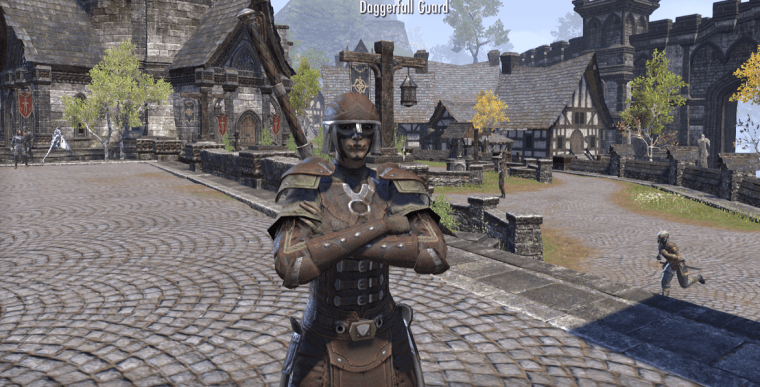 The noble, duty-bound Guard who caught Miss Vipsania.  She is to receive the Medal of Valor for her staunch commitment to enforcement.